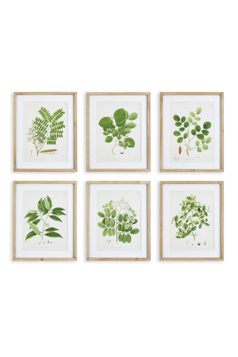 Tree Leaf Study, Set Of 6, Main, color, Green