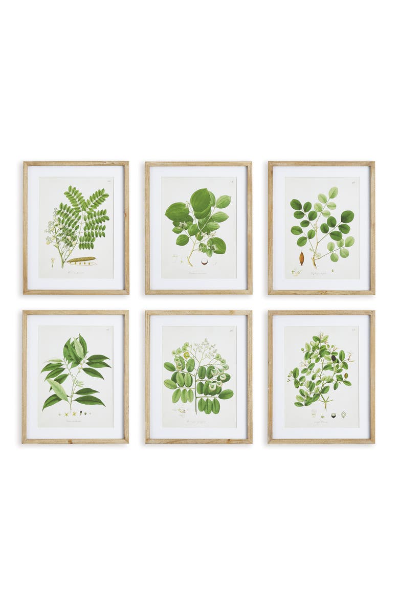 Napa Home & Garden Tree Leaf Study, Set Of 6, Main, color, Green