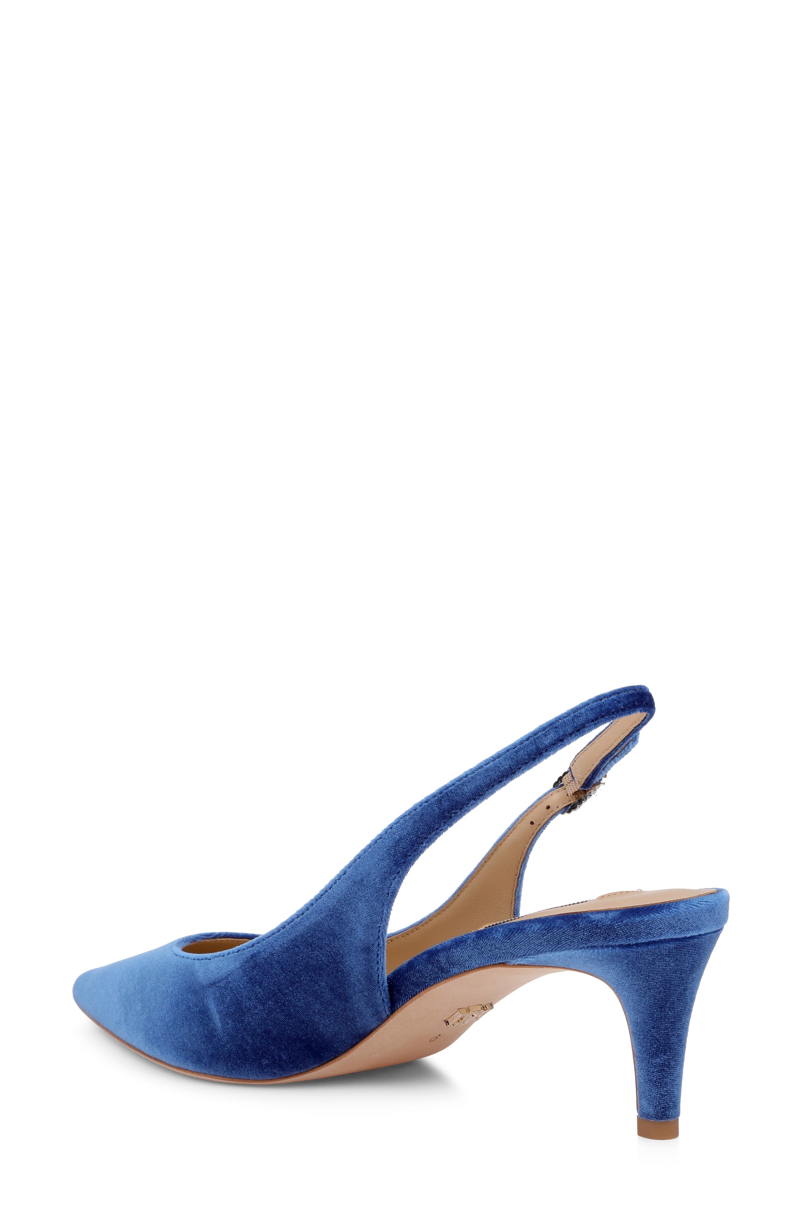 Ruthie Slingback Pointed Toe Pump, Alternate, color, NAVY VELVET
