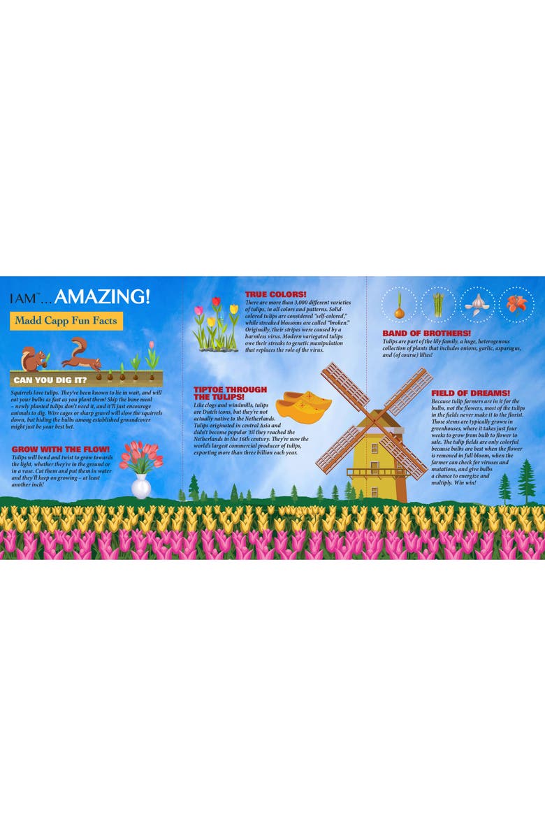 Madd Capp TULIP 350 Piece Jigsaw Puzzle, Alternate, color, Multicolored