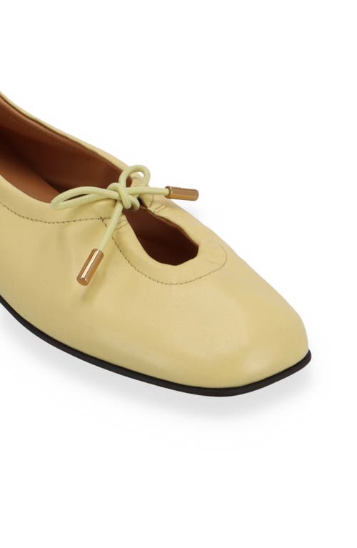 Alohas Rosalind Ballet Flat In Yellow
