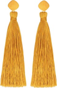 Petit Moments Fringe Tassel Linear Earrings