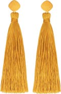 Petit Moments Fringe Tassel Linear Earrings