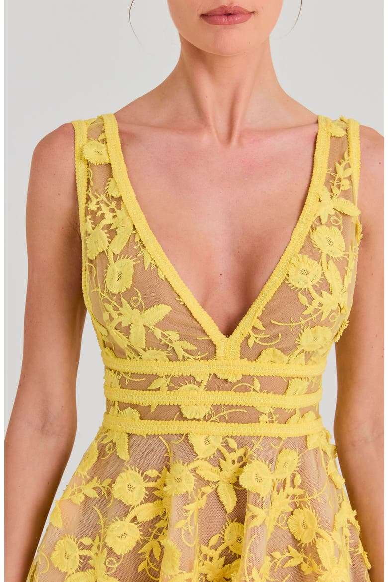 lola embroidered mini dress Lola Embroidered Sleeveless Fit & Flare Minidress (Women)