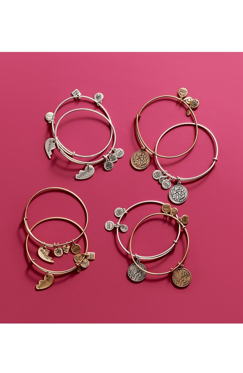 Alex and Ani , Alternate, color, 