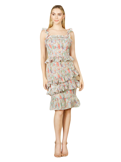 Print Midi Length Dress