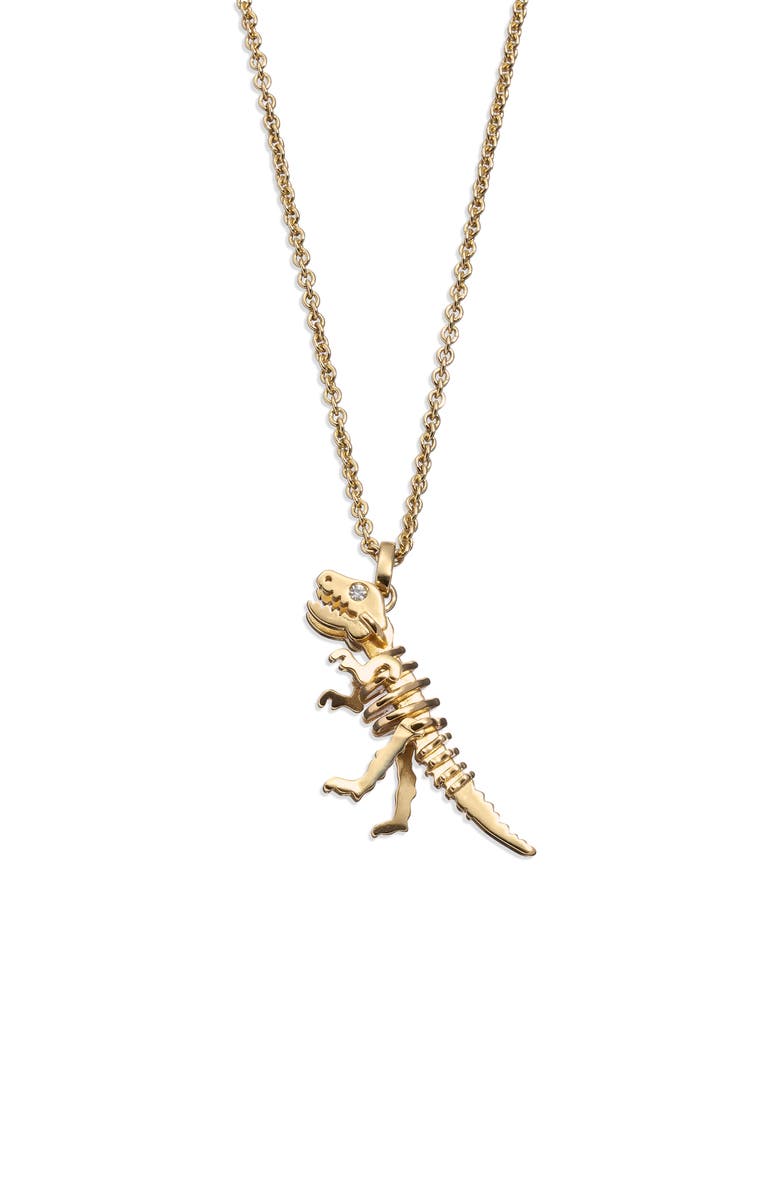 COACH Rexy Skeletal Long Pendant Necklace, Alternate, color, 