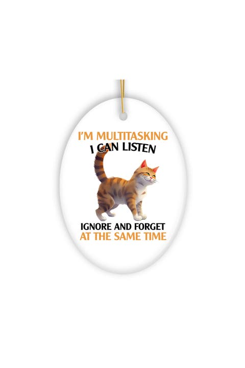 Multitasking Quirky Cat Ceramic Ornament