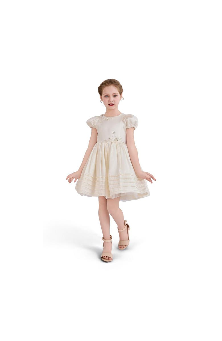 Tulleen Embroidered Pleated Dress, Main, color, Ivory