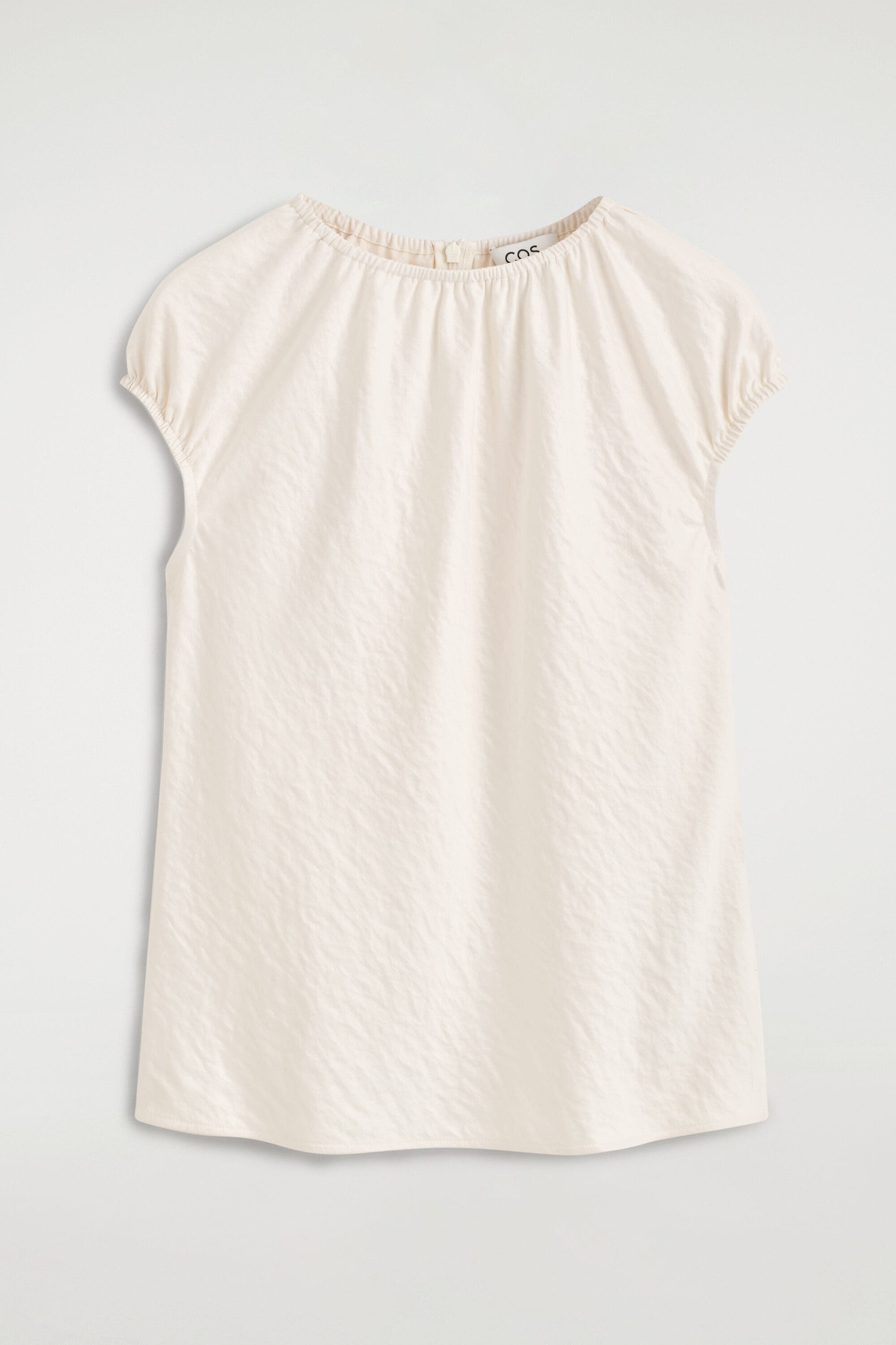 selected IVORY