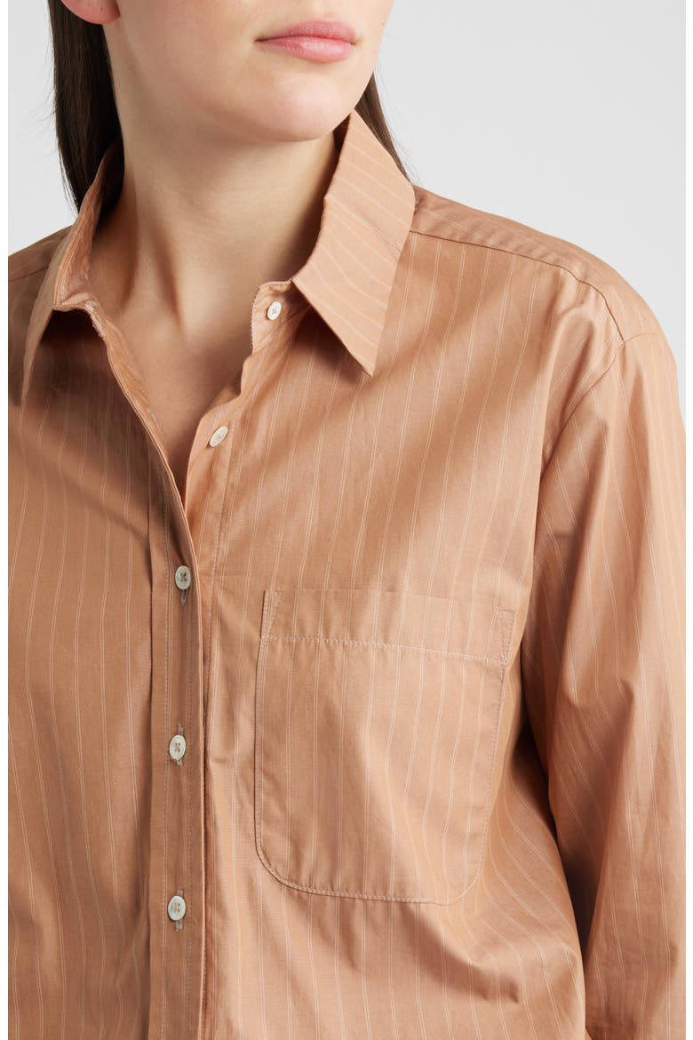 Cinch Waist Button-Up Shirt, Alternate, color, DUNE STRIPE