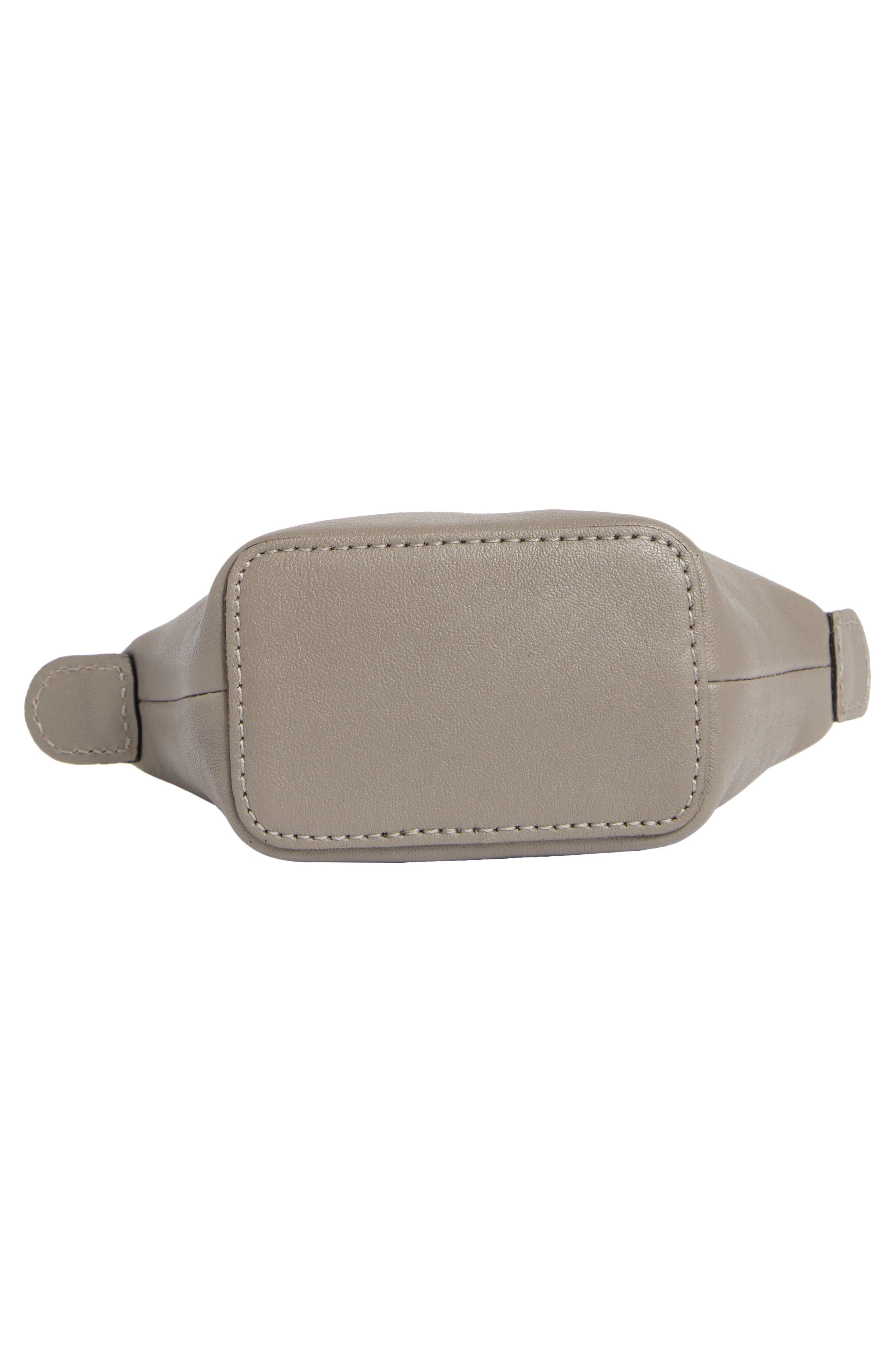 Longchamp Le Pilage Cuir Leather Nano Crossbody Bag, Alternate, color, Turtle Dove