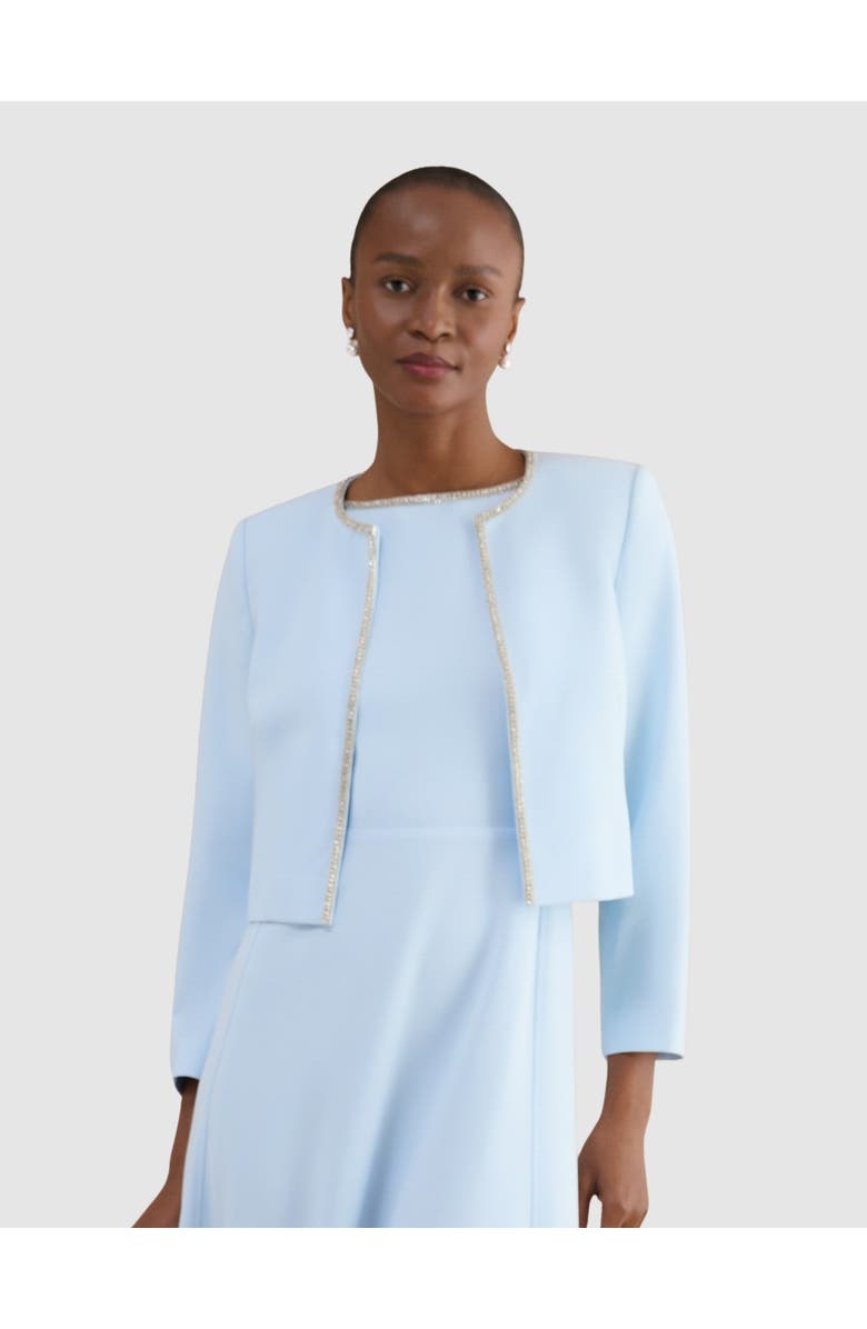 HOBBS LONDON Beatrix Embellished Jacket, Alternate, color, Pale Blue