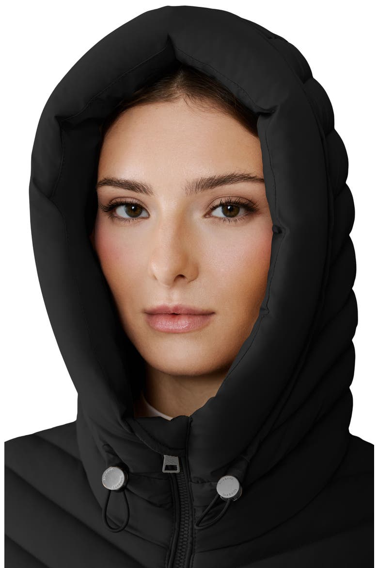 Estelle Water Resistant 700 Fill Power Hooded Down Jacket, Alternate, color, BLACK