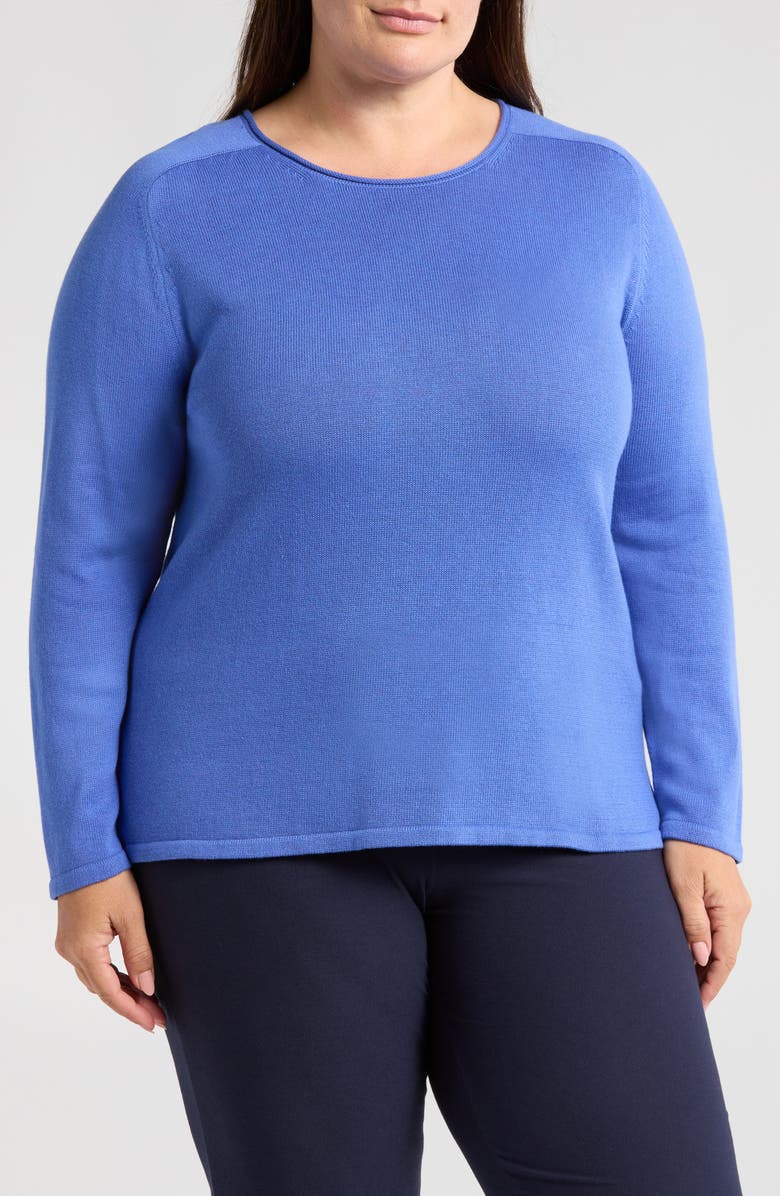 Eileen Fisher Raglan Sleeve Organic Cotton Blend Sweater, Main, color,