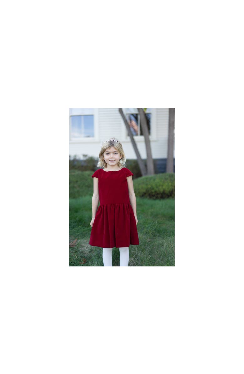 Busy Bees Alexa Dropwaist Party Dress, Main, color, Red Velvet