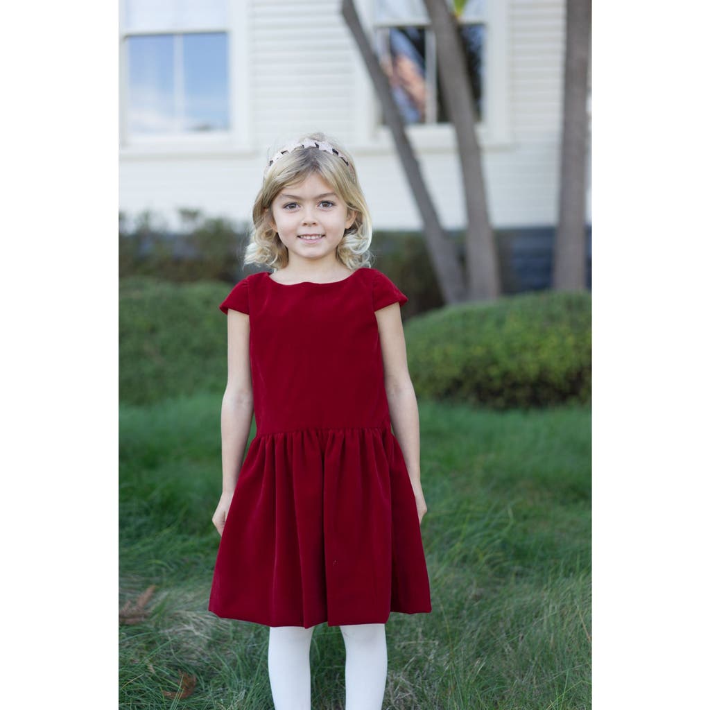 Busy Bees Alexa Dropwaist Party Dress in Red Velvet  product