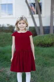 Busy Bees Alexa Dropwaist Party Dress