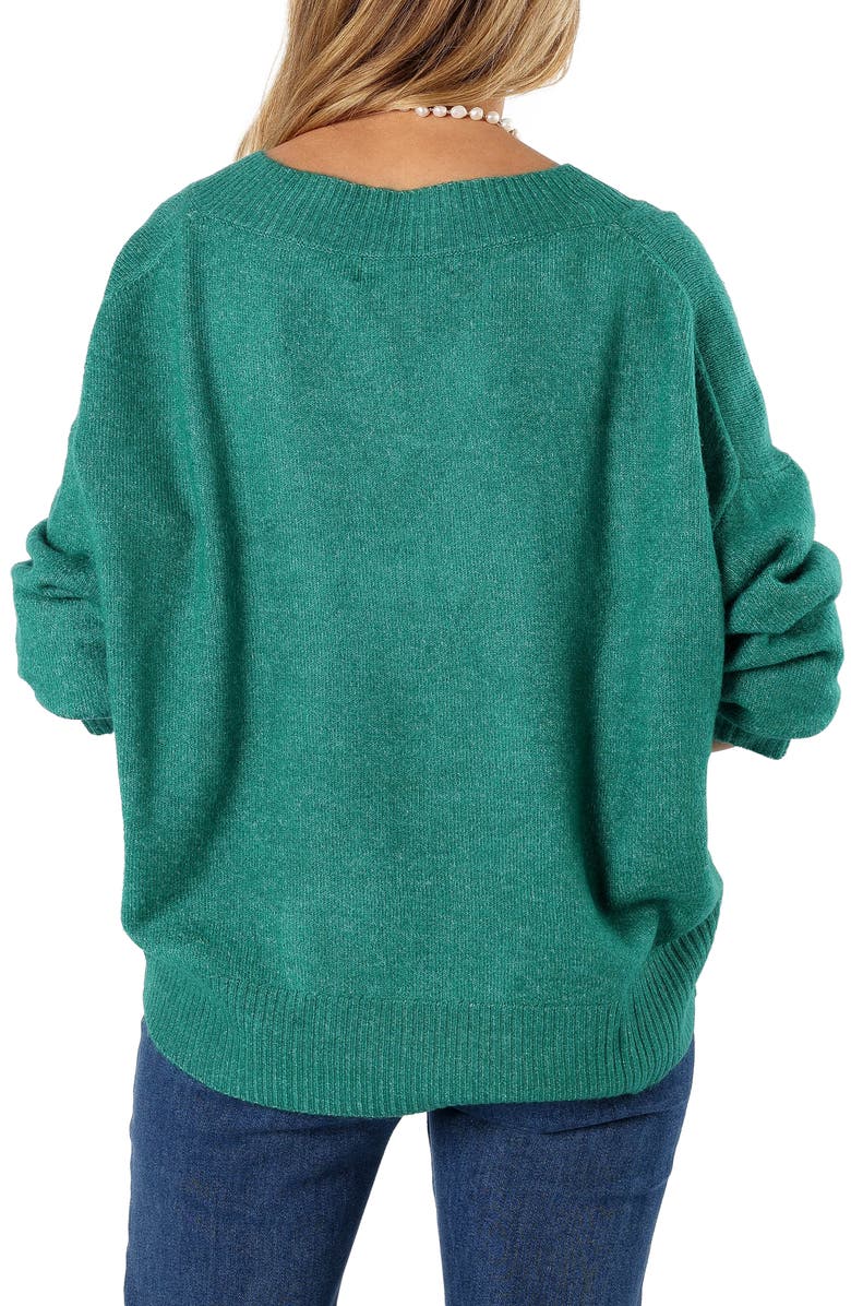 Petal & Pup Palmer V-Neck Sweater, Alternate, color, 