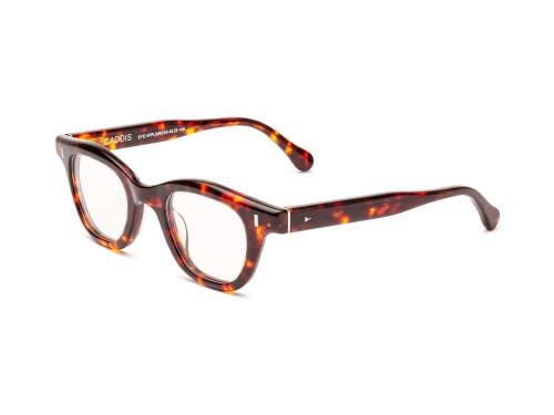 Caddis Wabi Sabi | Reading Glasses