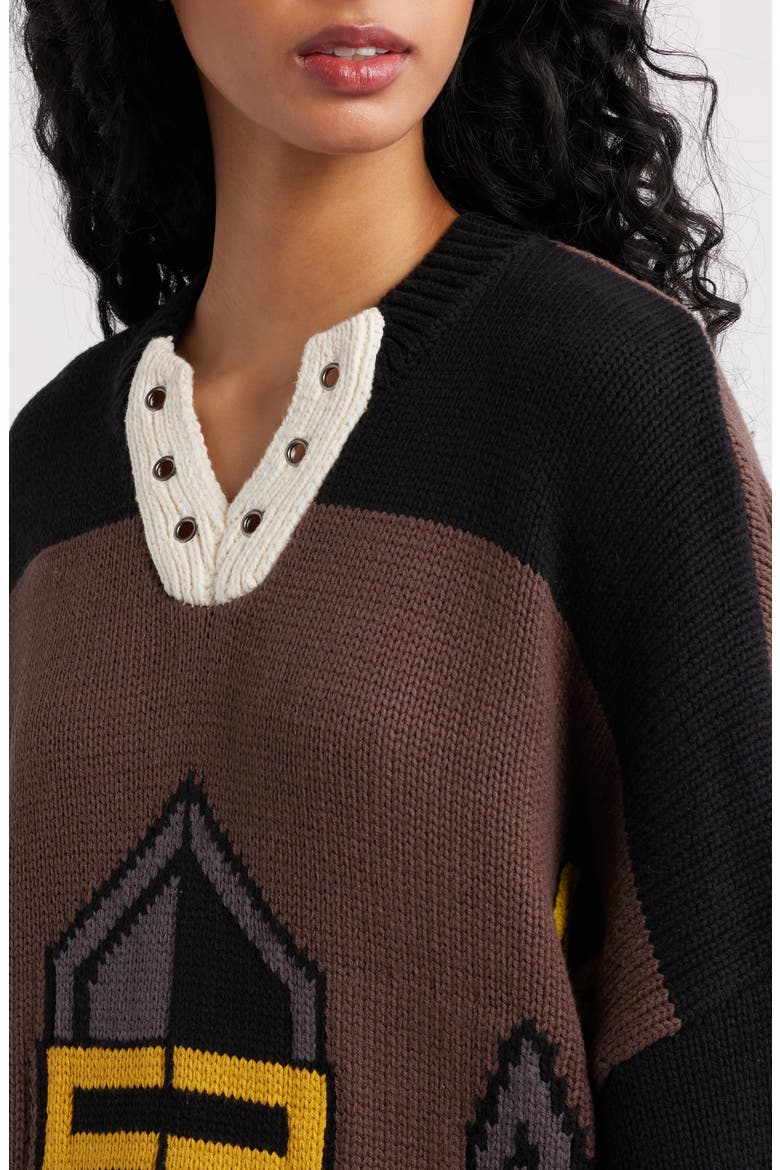 Protect Your Energy Oversize Sweater, Alternate, color, BROWN/BLACK