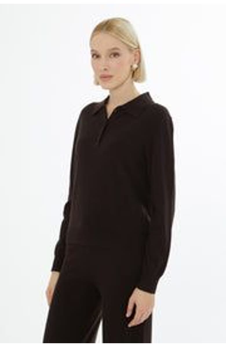Gizia Shirt Collar Sweater with Button Closure, Alternate, color, Brown