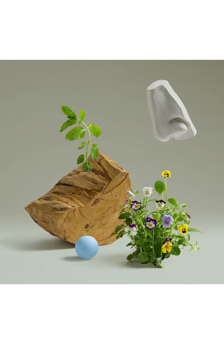 Penhaligon's Bold Blend Eau de Parfum, Alternate, color, 