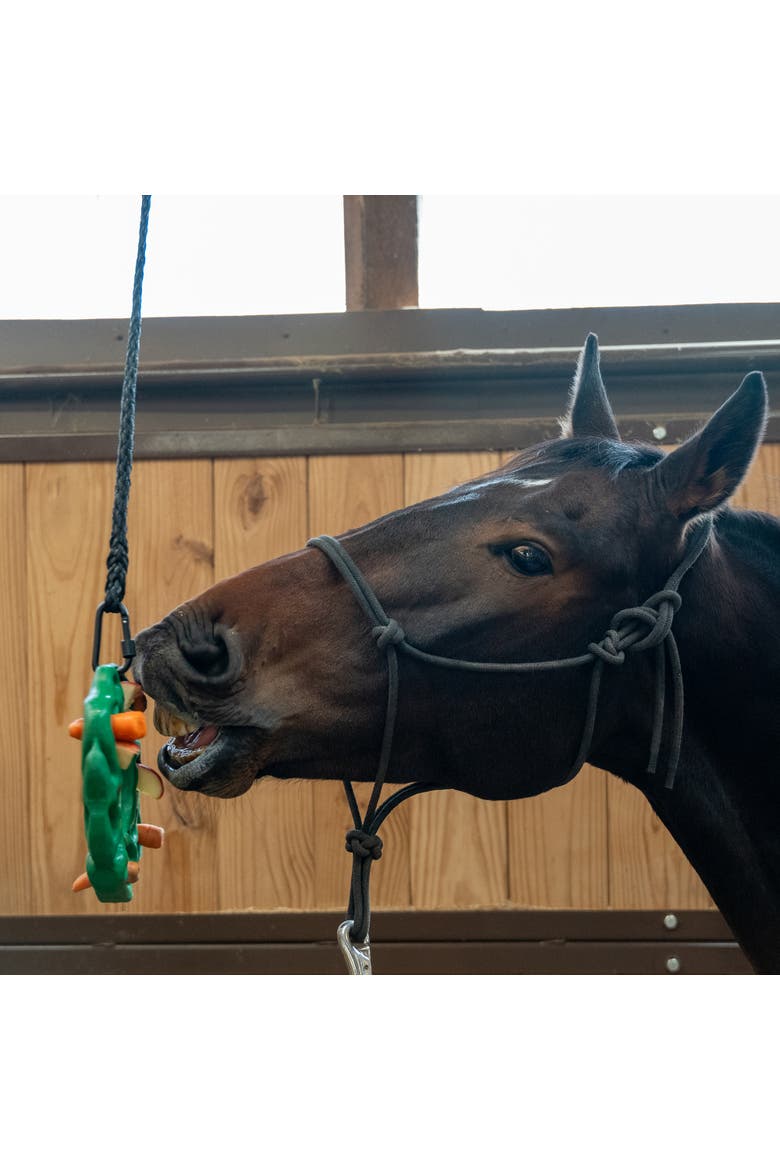 Luna Ring, Horse Equine, 9 Inchs Green, Rubber Treat Puzzle Toy, Alternate, color, Green