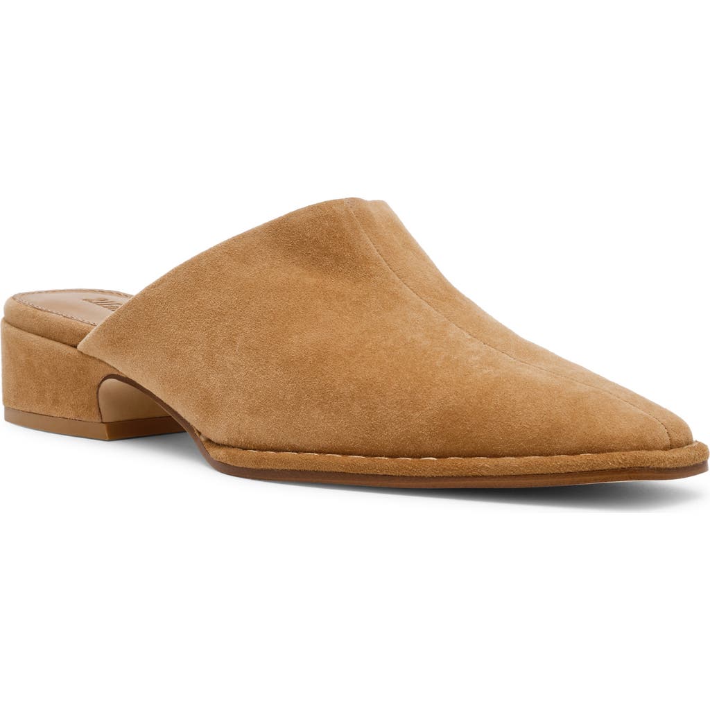 Steve Madden Dessa Mule in Tan Suede at Nordstrom, Size 7.5