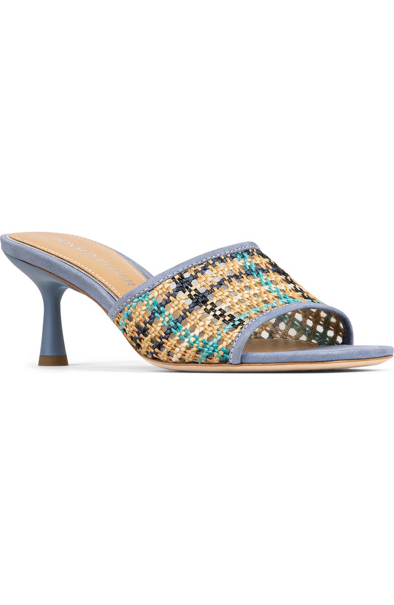 Donald Pliner Raffia Slide Sandal, Main, color, Navy Multi