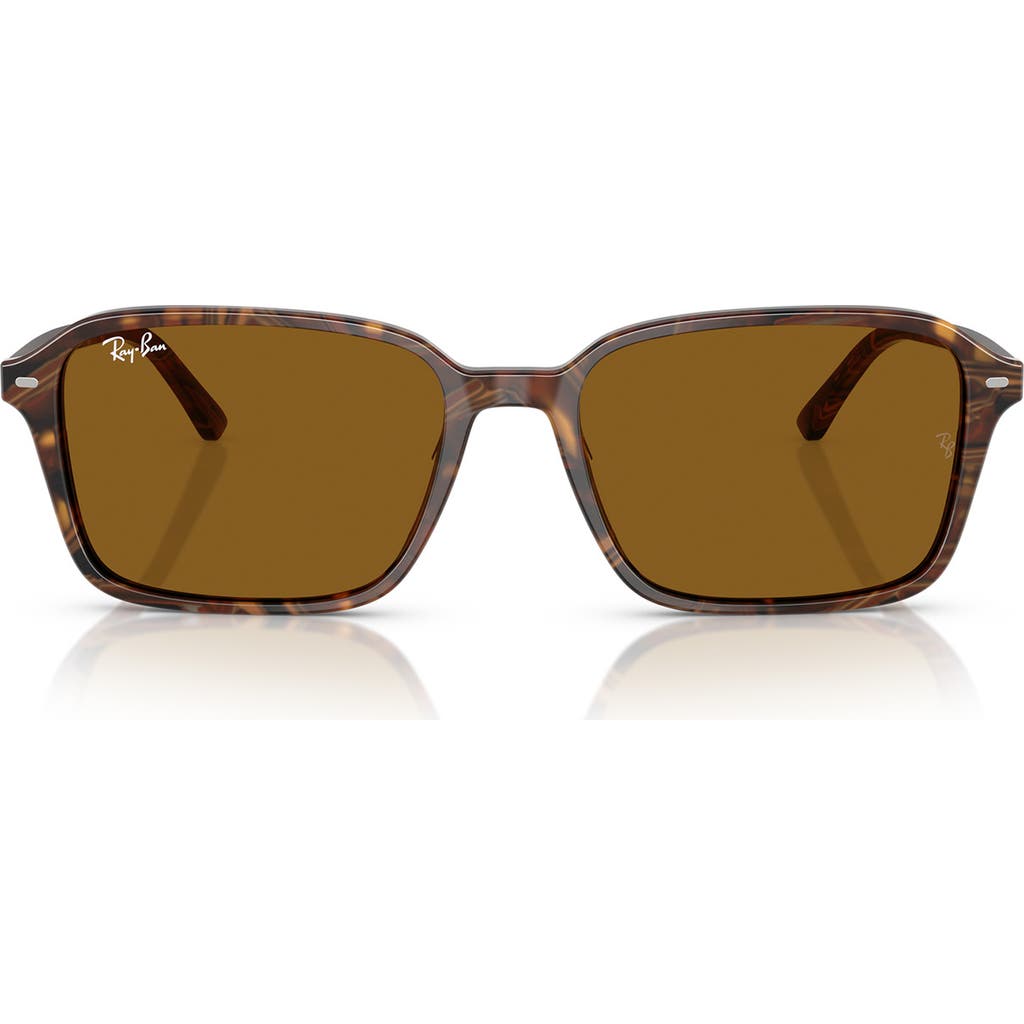Ray Ban Ray-ban 56mm Square Sunglasses In Brown