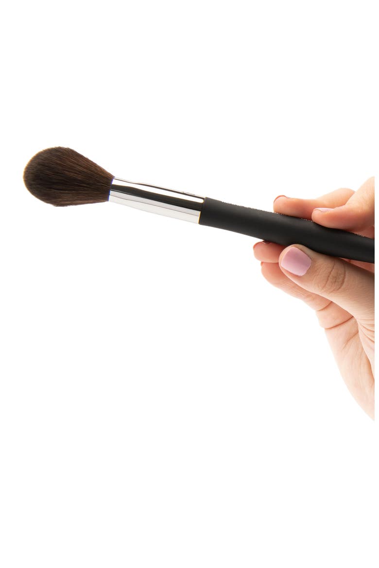 Pro Rounded Powder Makeup Brush, Alternate, color, Black