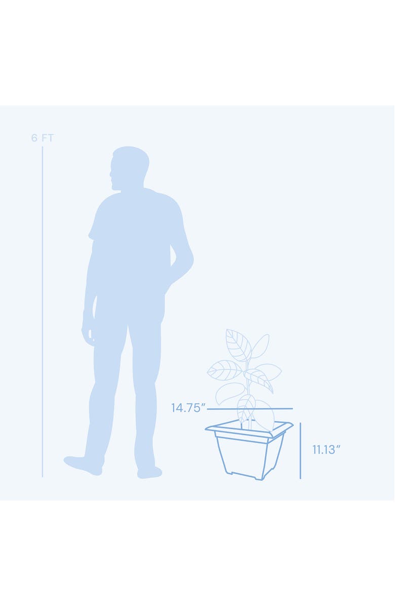 Bloem 15" Dayton Square Deck Planter, Terra Cotta, Alternate, color, Brown