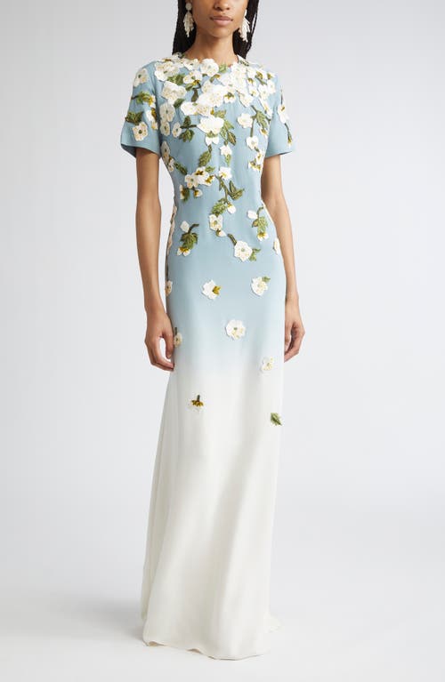 Oscar De La Renta Floral-embellished Gown In Blue