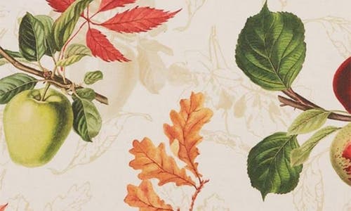 Design Imports Orchard Botanical Set Of 4 Placemats In Multi