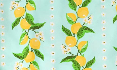 SHADE CRITTERS SHADE CRITTERS KIDS' CITRUS GROVE TWO-PIECE RASHGUARD SWIMSUIT