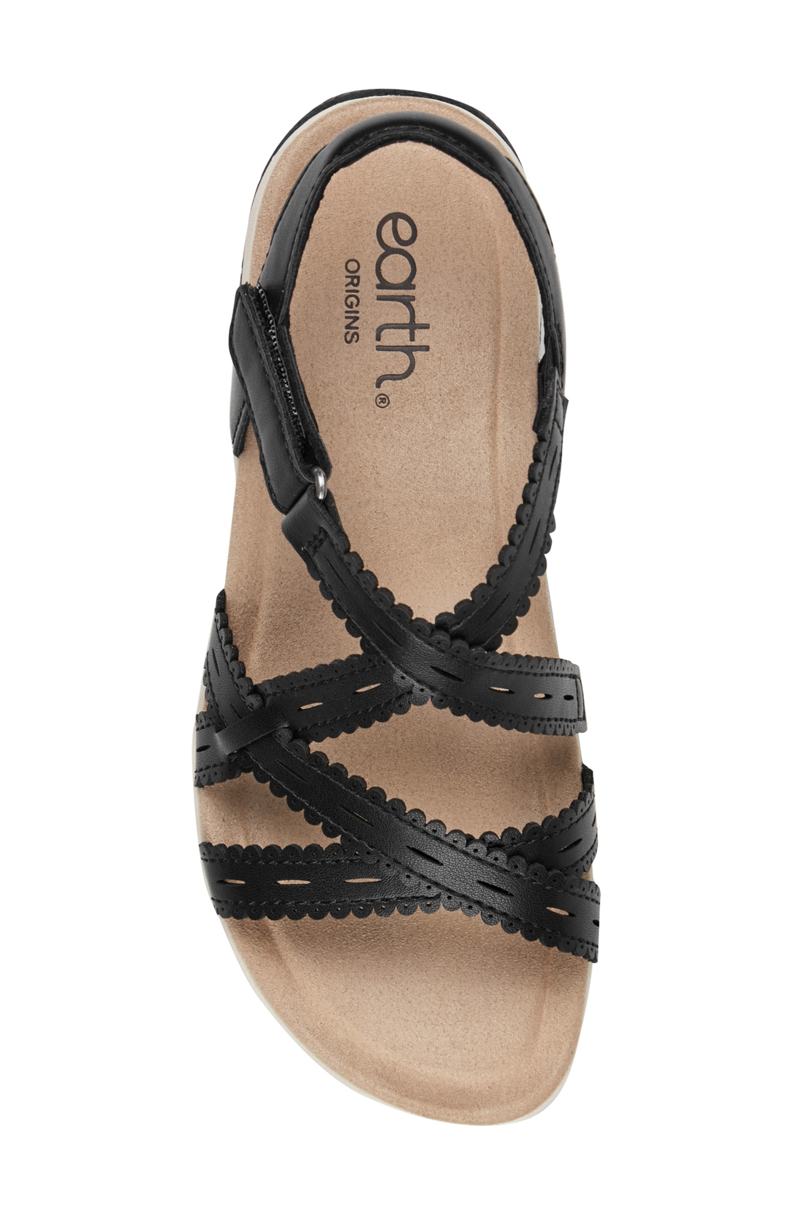 Earth<sup>®</sup> Sanetra Ankle Strap Sandal, Alternate, color, Black