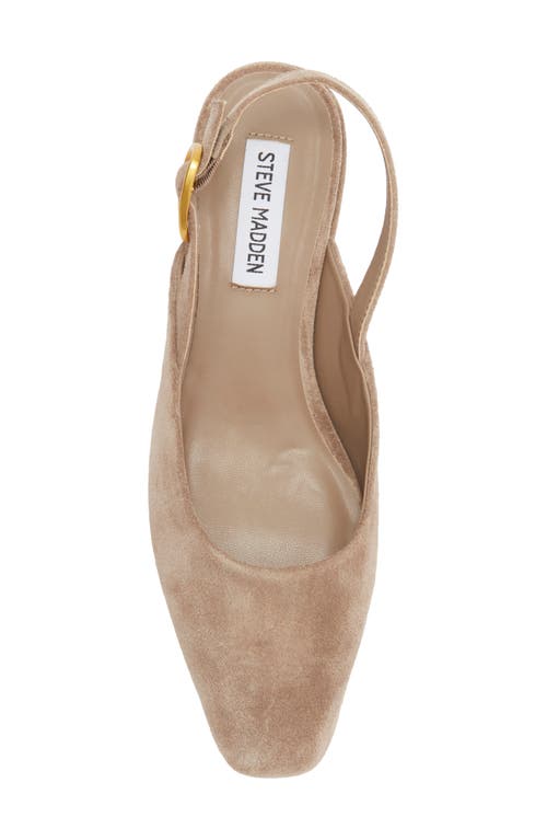 Steve Madden Diona Slingback Pump In Brown