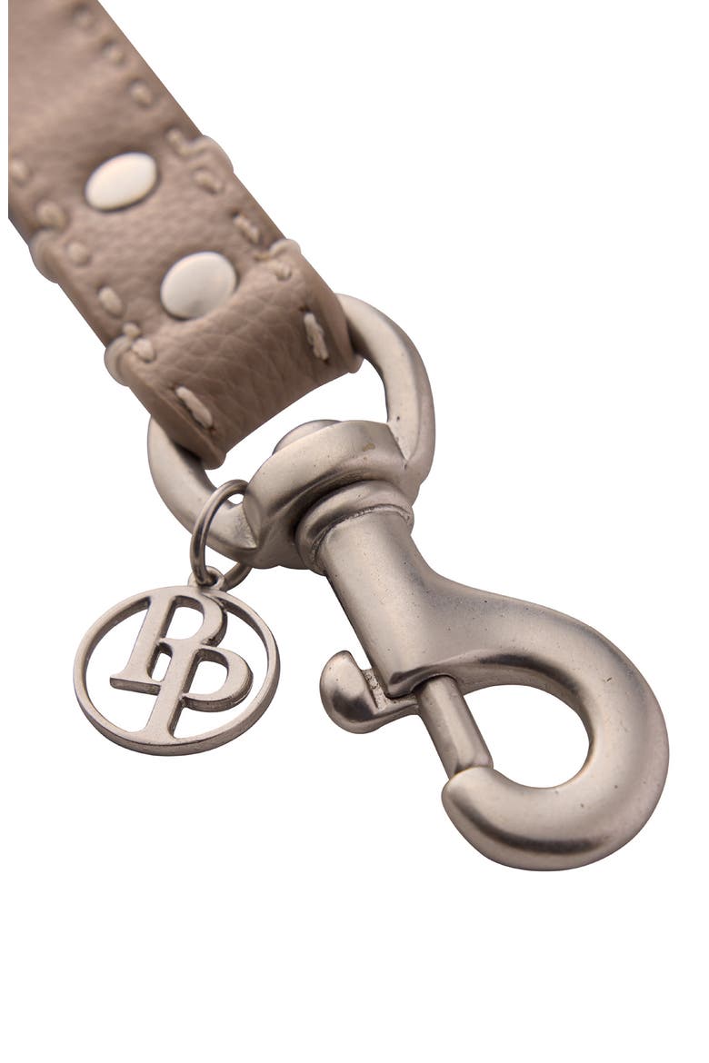 Rein Faux Leather Pet Leash, Alternate, color, DAPPLED CASHMERE
