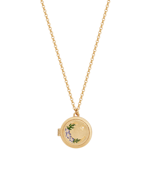 Fable England Nightshade Moon Gold Locket Chain Necklace In Gold