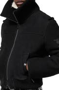 Burberry Suede Landport Jacket