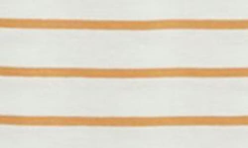 Vineyard Vines Stripe Cotton Turtleneck In Neutral