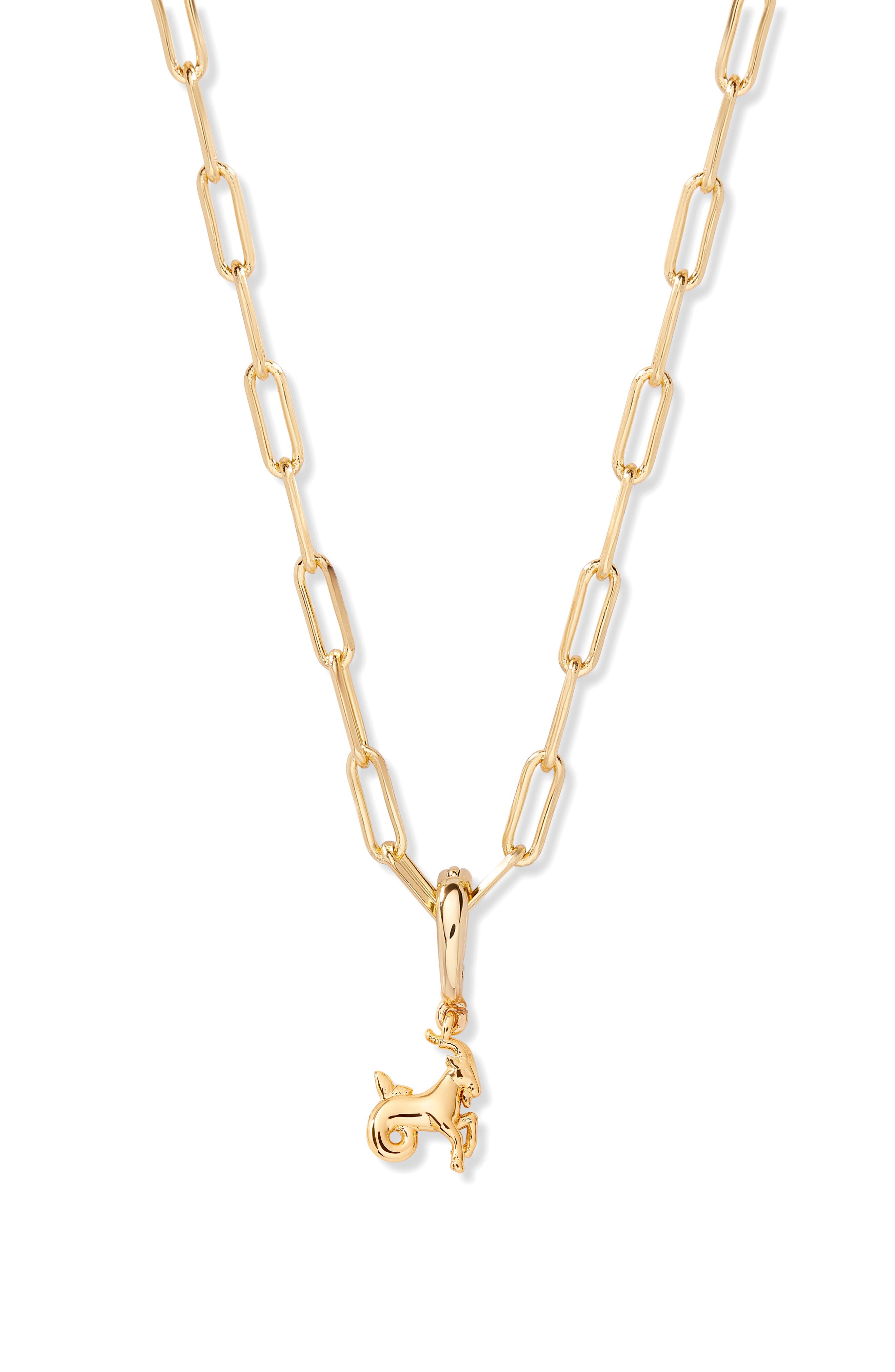 GOLD/ CAPRICORN