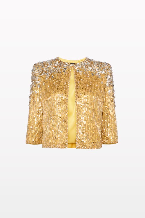 Jenny Packham Gaia Jacket In Multi