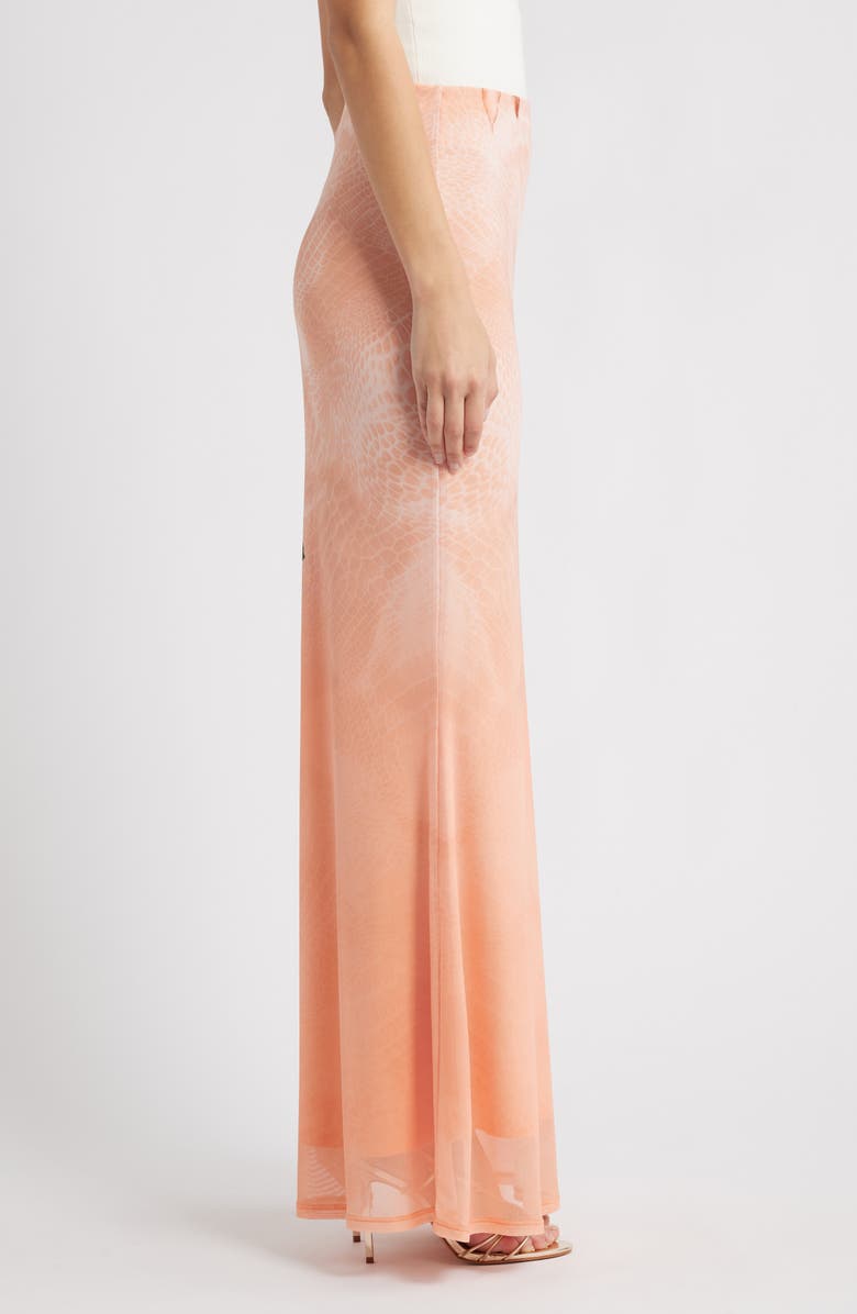 AFRM Tegan Printed Mesh Maxi Skirt, Alternate, color, 