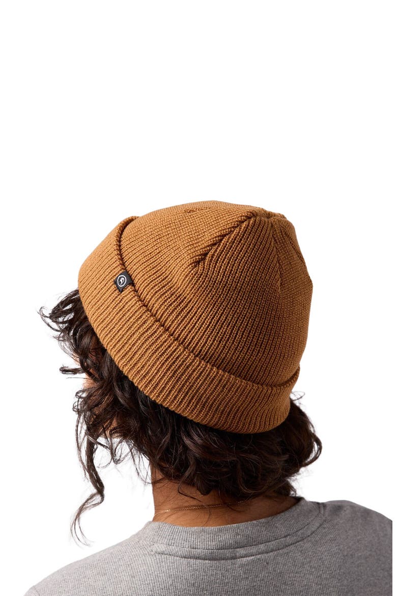 Capra Rolled Beanie, Alternate, color, Bistre