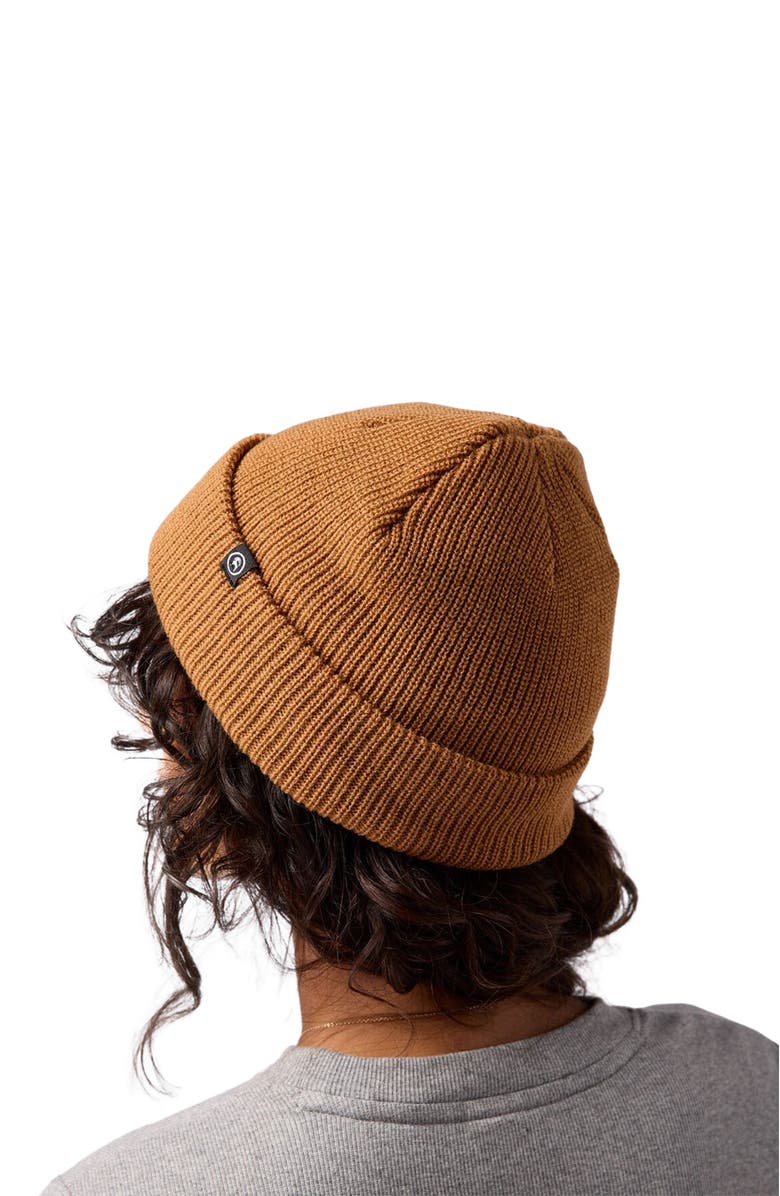 Backcountry Capra Rolled Beanie, Alternate, color, Bistre