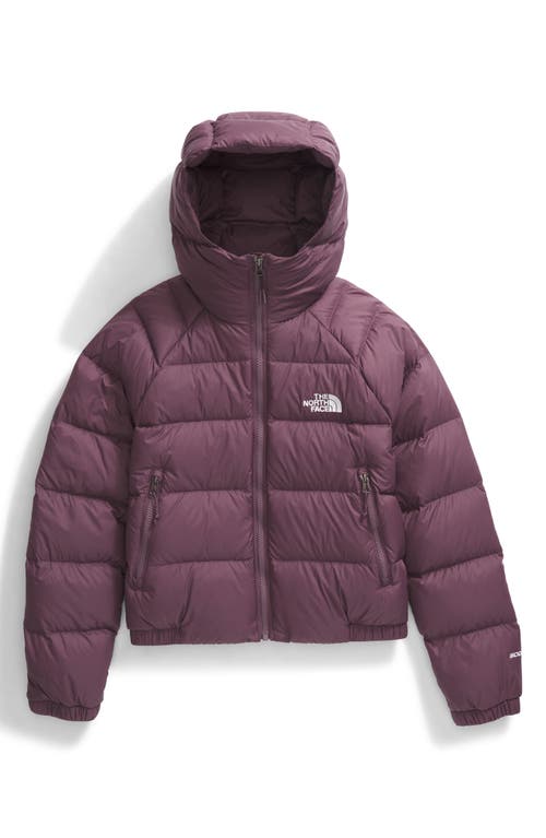 The North Face Hydrenalite Hooded Down Jacket In Purple