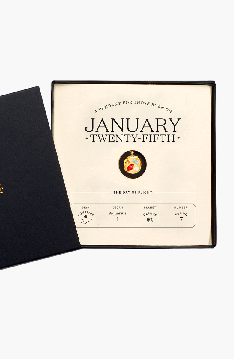 Birthdate Co. The January Birthdate Gold Pendant, Alternate, color, 