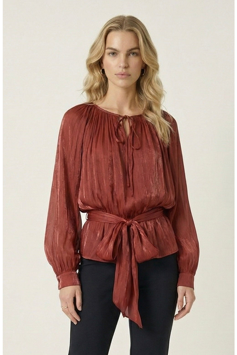 Long Sleeve Tie Neck Waist Belt Blouse, Main, color, Rust